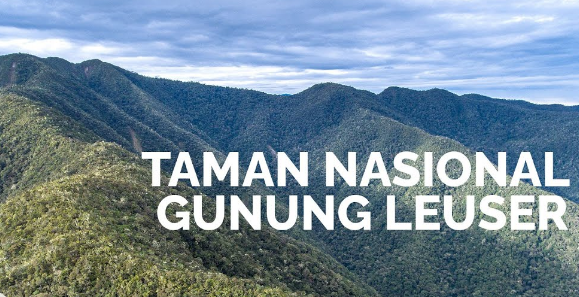 Taman Nasional Gunung Leuser